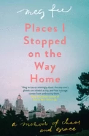 Image of places i stopped on the way home a memoir of chaos and grace