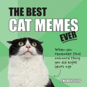 Image of best cat memes ever the funniest relatable memes as told by cats