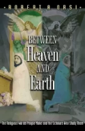 Image of between heaven and earth the religious worlds people make and the scholars