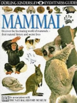 Image of Mammal by Steve Parker and England Natural History Museum Hardback