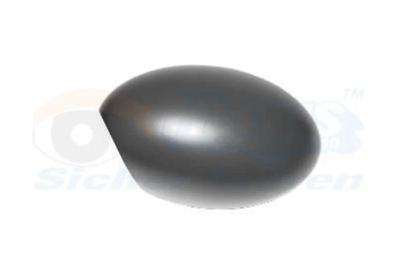 Image of VAN WEZEL Wing mirror cover VAN WEZEL 0502841