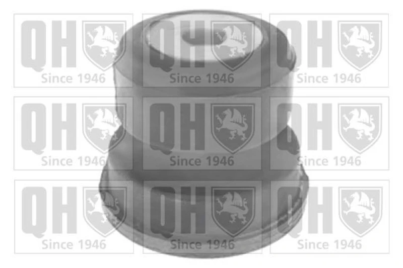Image of QUINTON HAZELL Trailing arm / Suspension arm bush QUINTON HAZELL EMS8321