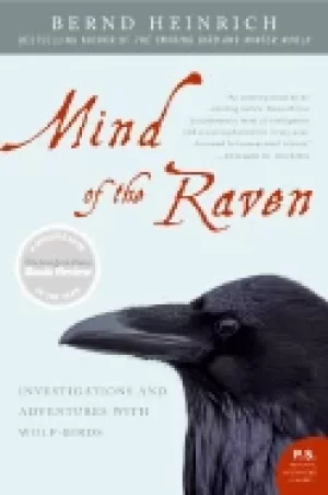 Image of mind of the raven investigations and adventures with wolf birds