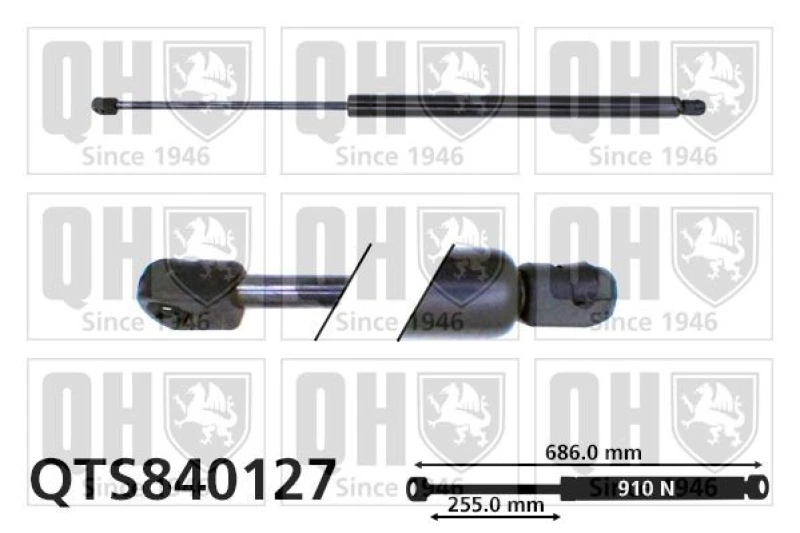 Image of QUINTON HAZELL Tailgate strut QUINTON HAZELL QTS840127