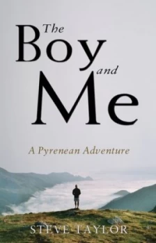 Image of The Boy and Me by Steve Taylor Paperback