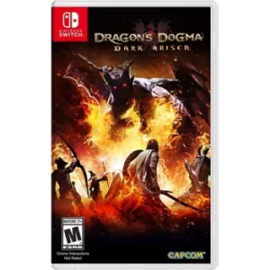 Image of Dragons Dogma Dark Arisen Nintendo Switch Game