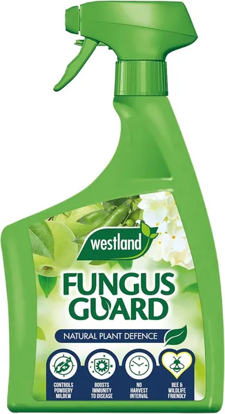 image of Westland Fungus Guard 800ml