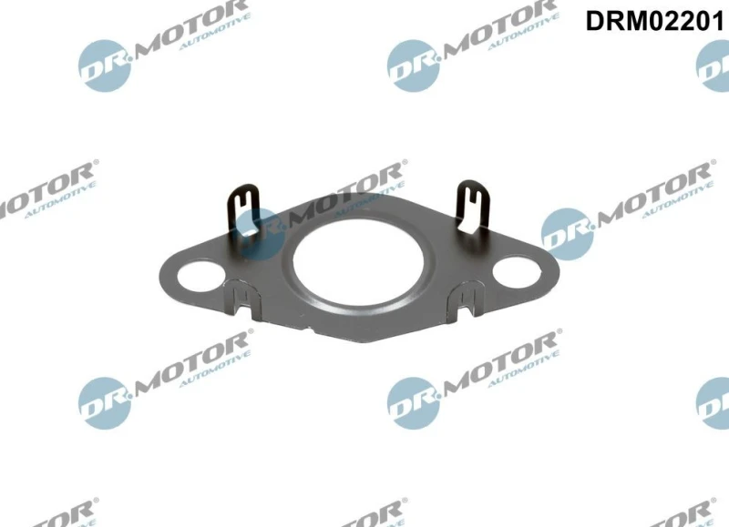 Image of DR.MOTOR AUTOMOTIVE Gasket, EGR valve pipe DR.MOTOR AUTOMOTIVE DRM02201