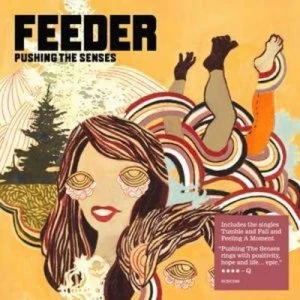 Image of Pushing the Senses by Feeder CD Album