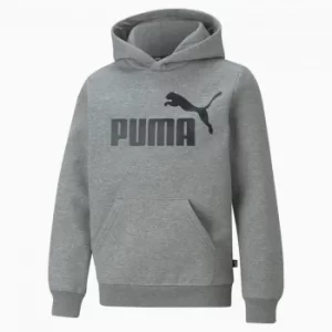 image of PUMA Essentials Big Logo Youth Hoodie, Medium Grey Heather, size 3-4 Youth, Clothing