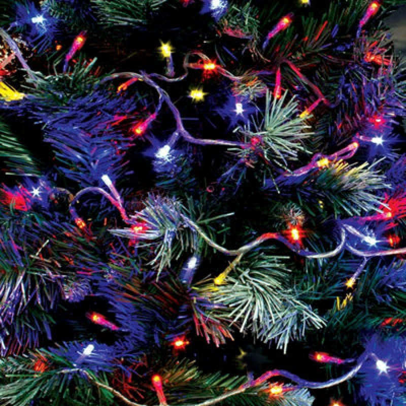 Image of Christmas Workshop 50 LED Battery Operated Timer Lights - Multi Colour 70320
