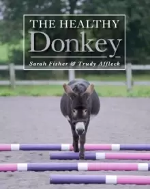 Image of The Healthy Donkey