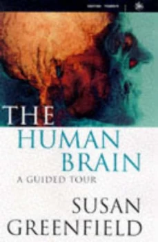 Image of The Human Brain by Susan Greenfield Hardback