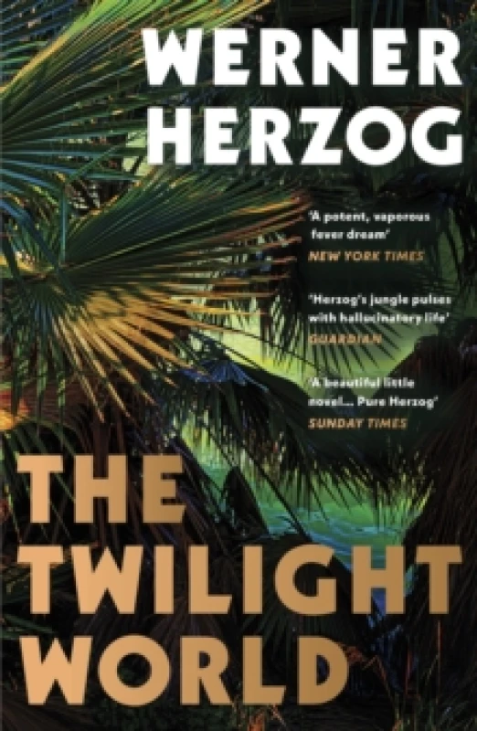 Image of The Twilight World Paperback / softback