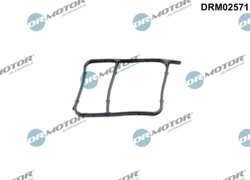 Image of DR.MOTOR AUTOMOTIVE Gasket, water pump DR.MOTOR AUTOMOTIVE DRM02571