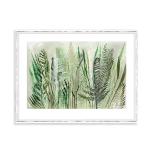 Image of The Art Group Shyama Ruffell Ferns Ii Framed Art - 60x80cm