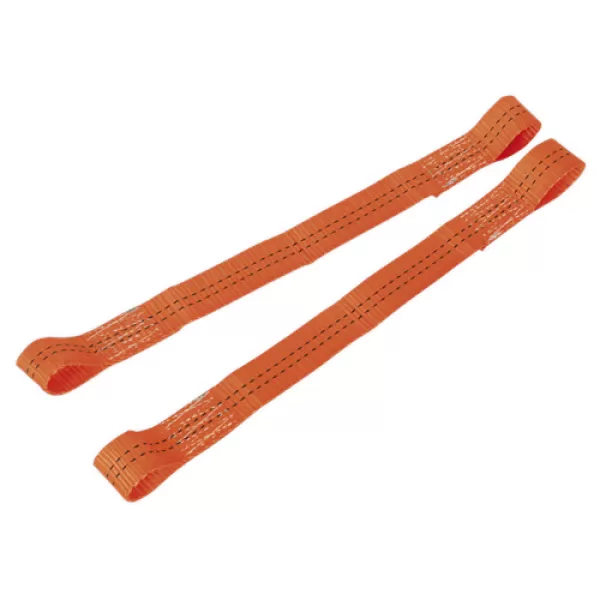 Image of Sealey TDL01 Tie Down Securing Loop - Pair