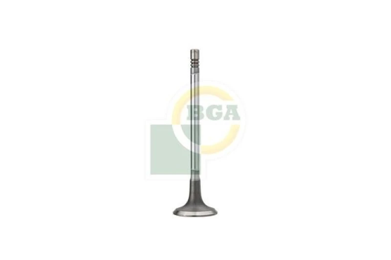 Image of BGA Inlet valve BGA V200002