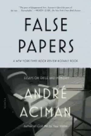 Image of false papers