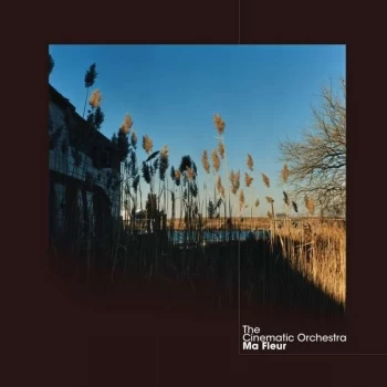 image of The Cinematic Orchestra - Ma Fleur CD