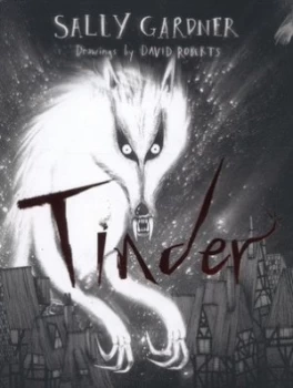 Image of Tinder by Sally Gardner Hardback