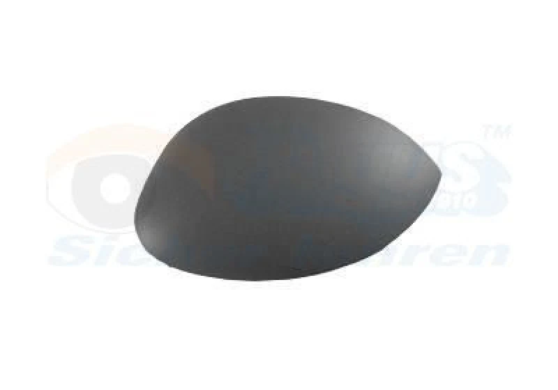 Image of VAN WEZEL Wing mirror cover VAN WEZEL 4028842
