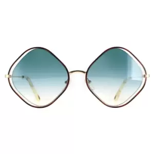 Square Havana and Gold Blue Gradient CE159S Poppy Sunglasses