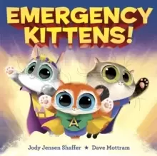 Image of Emergency Kittens!