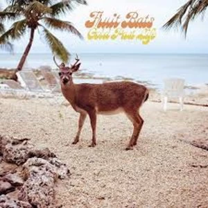 Image of Fruit Bats - Gold Past Life Aqua Vinyl