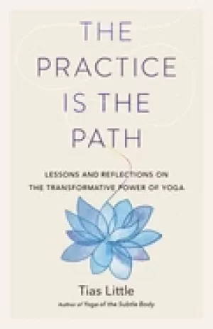 Image of practice is the path lessons and reflections on the transformative power of