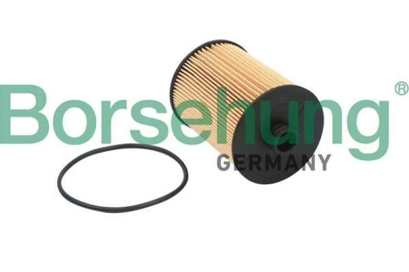 Image of Borsehung Oil filter Borsehung B18015