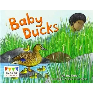 Image of Baby Ducks Paperback / softback 2018