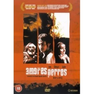 Image of Amores Perros DVD