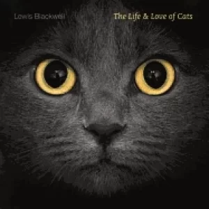 Image of life and love of cats
