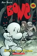 Image of eyes of the storm a graphic novel