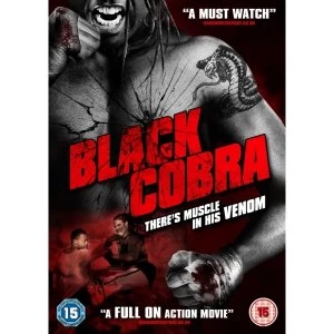 Image of Black Cobra DVD