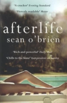 Image of Afterlife by Sean Obrien Book