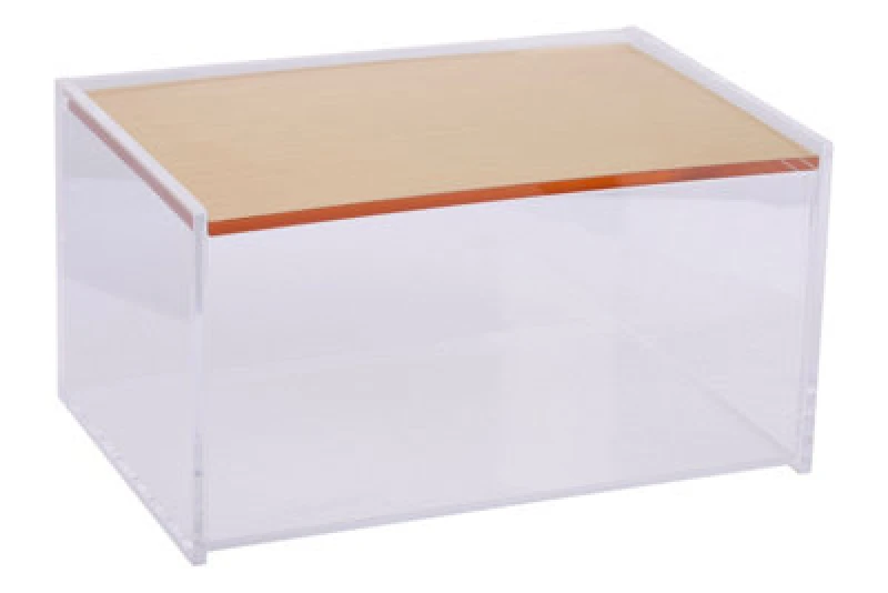 Image of Premier Housewares Gozo Small Storage Box Clear