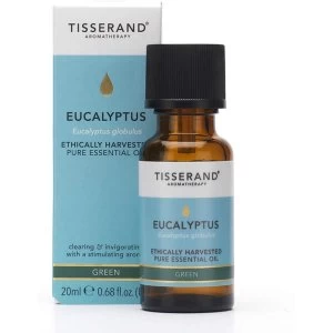 image of Tisserand Aromatherapy Eucalyptus Ethically Harvested Pure Essential Oil 9ml