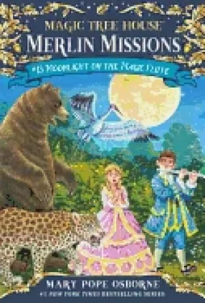 Image of moonlight on the magic flute