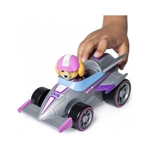 Image of Paw Patrol Ready Race Rescue Figure (1 At Random)