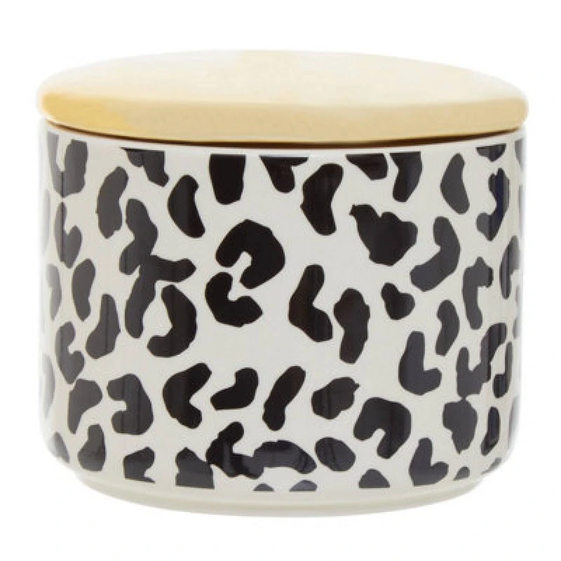 Image of Premier Housewares Maison by Premier London Leo Small Canister White