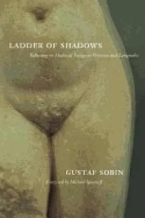 Image of ladder of shadows reflecting on medieval vestige in provence and languedoc