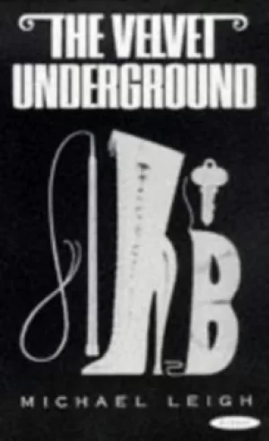 Image of The velvet underground by Michael Leigh