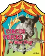 Image of circus tricks for your dog 25 crowd pleasers that will make your dog a star