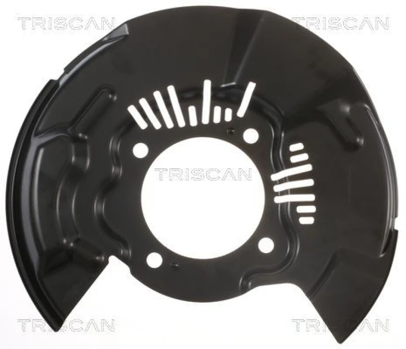 Image of TRISCAN Brake disc backing plate TRISCAN 8125 13109
