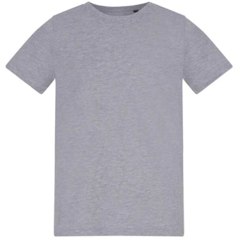 Image of Awdis AT002B boys's Children's T shirt in Grey