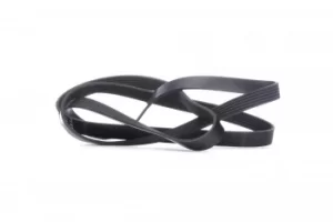 image of FEBI BILSTEIN Poly V-Belt VW,MAZDA,MERCEDES-BENZ 29009 11287789985,3023786,3431196 Ribbed Belt,V Ribbed Belt,Multi V Belt,Poly Belt,V-Ribbed Belts