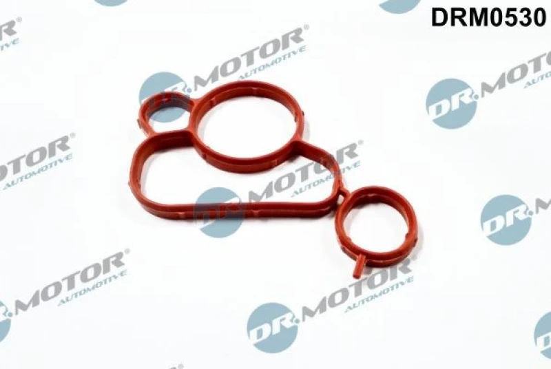 Image of DR.MOTOR AUTOMOTIVE Oil filter housing gasket DR.MOTOR AUTOMOTIVE DRM0530