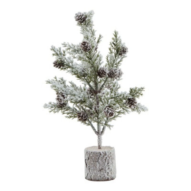 Image of Small Snowy Fir Tree With Pinecones In Wood Log